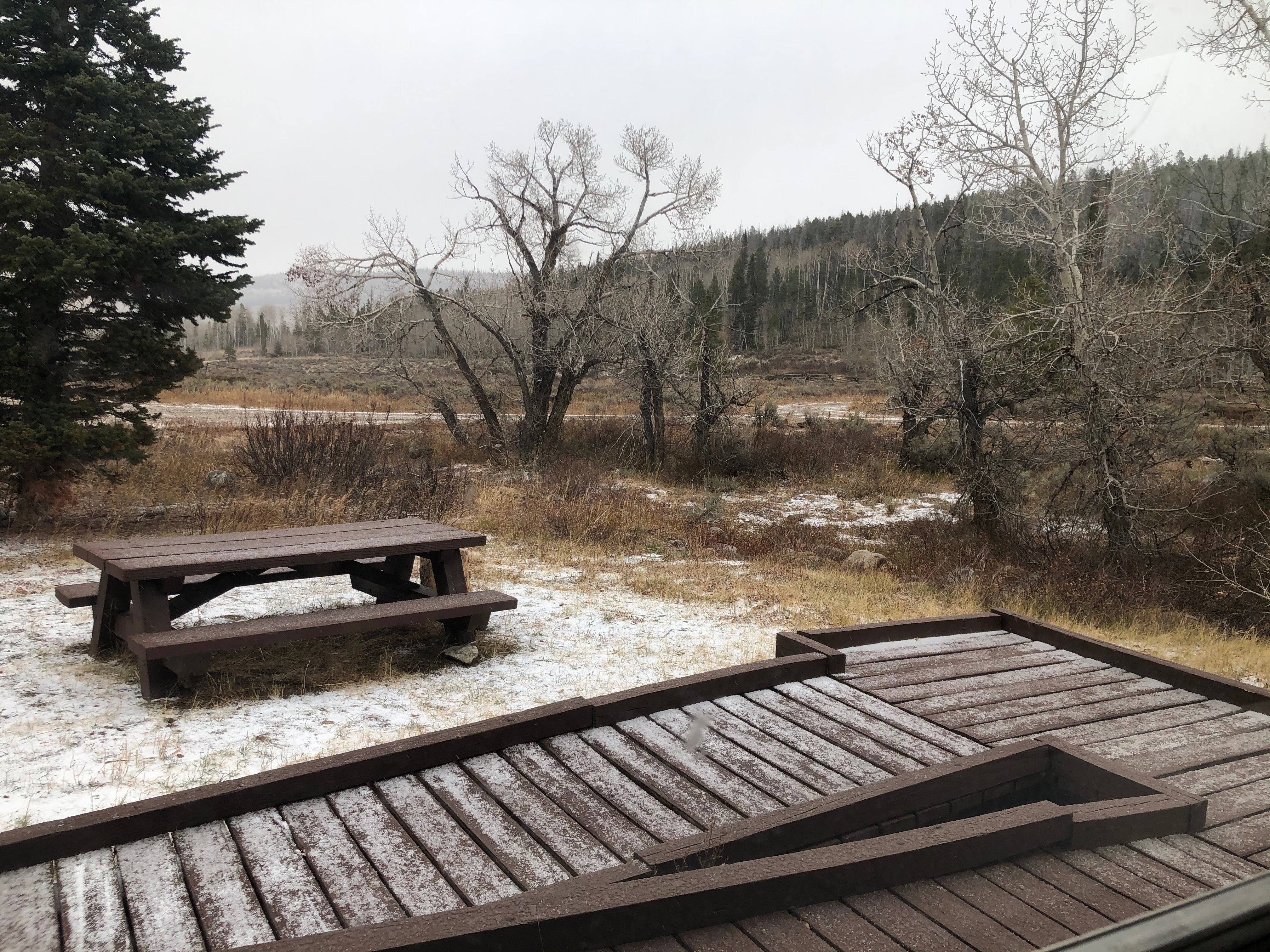 Camper submitted image from Bow River Ranger Station - 1