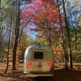 Review photo of Yogi Bear's Jellystone Park Camp-Resort, Glen Ellis by Ilana F., October 26, 2020