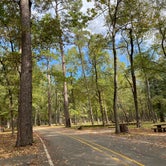 Review photo of Huntsville State Park Campground by Kyndall W., October 26, 2020
