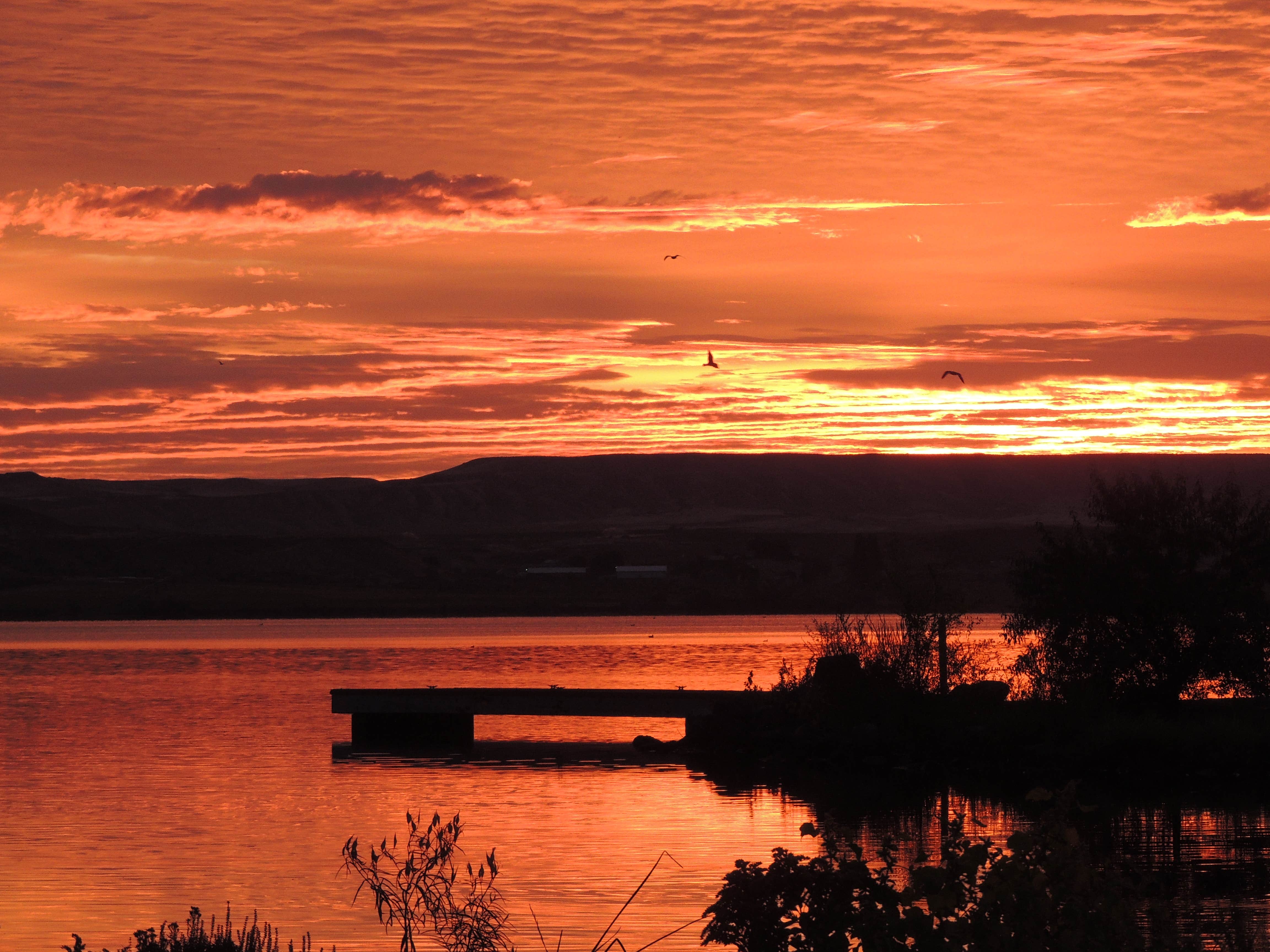 Camper submitted image from Cottonwood CJ Strike Reservoir Idaho Power - 2