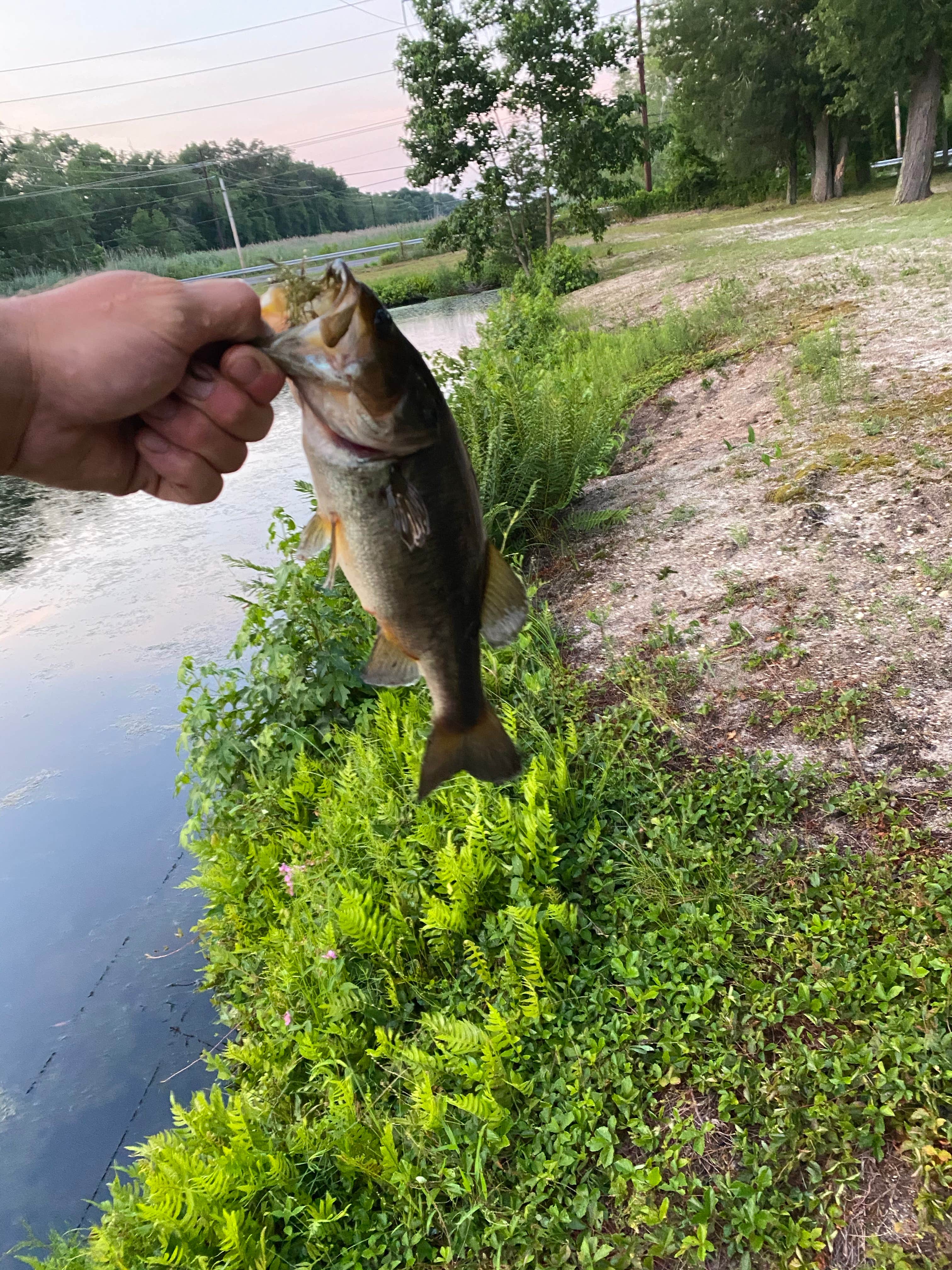 Camper submitted image from Four Seasons Family Campground - 5