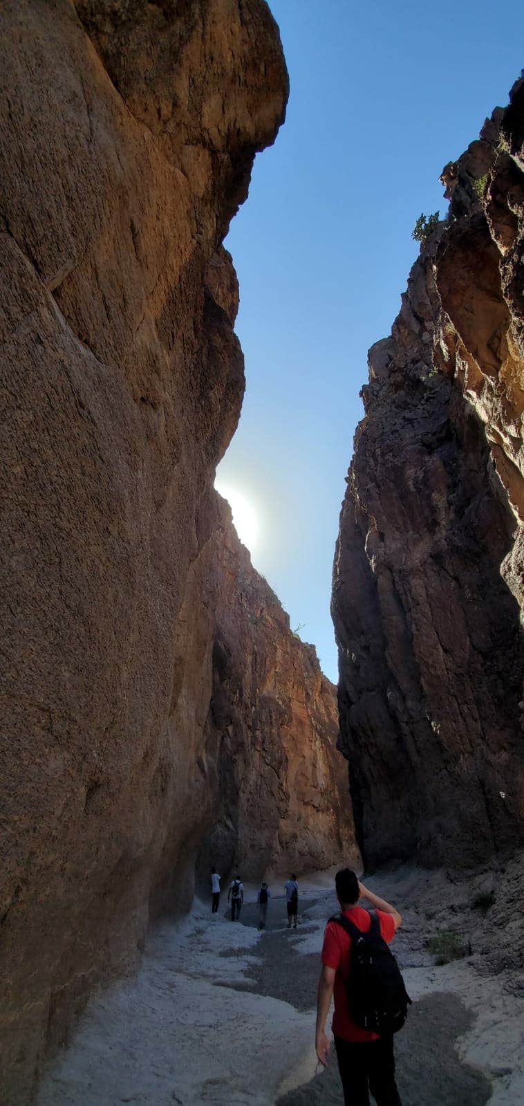 Camper submitted image from Upper & Lower Madera Campground — Big Bend Ranch State Park - 4