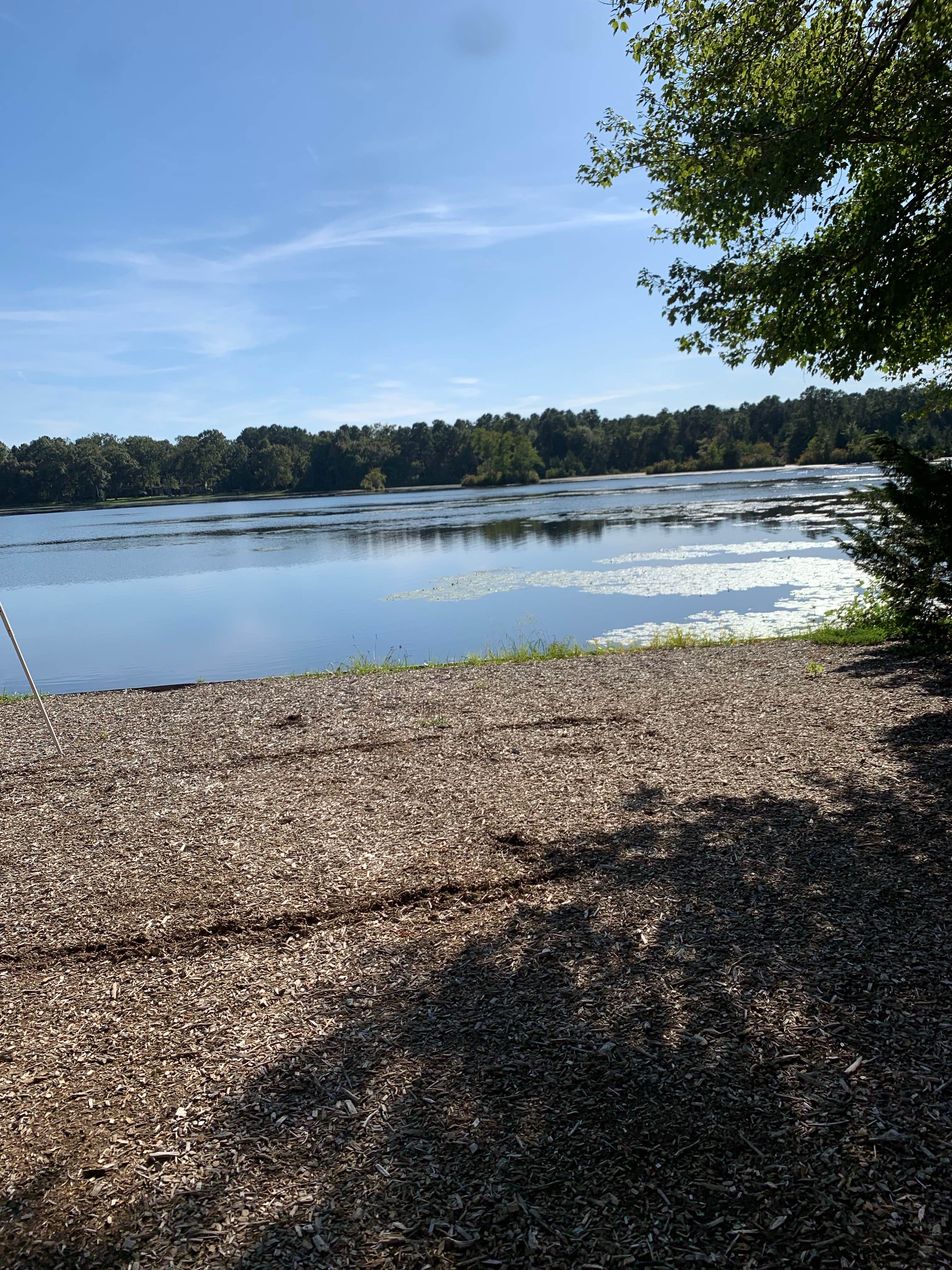 Camper-submitted photo at Hospitality Creek Campground near Hammonton, NJ
