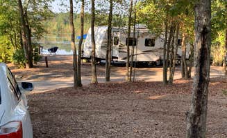 Arnold M.'s photo at Hospitality Creek Campground near Rosenhayn, NJ