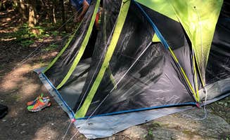 Olivia C.'s photo at Putnam Pond Campground near Silver Bay, NY