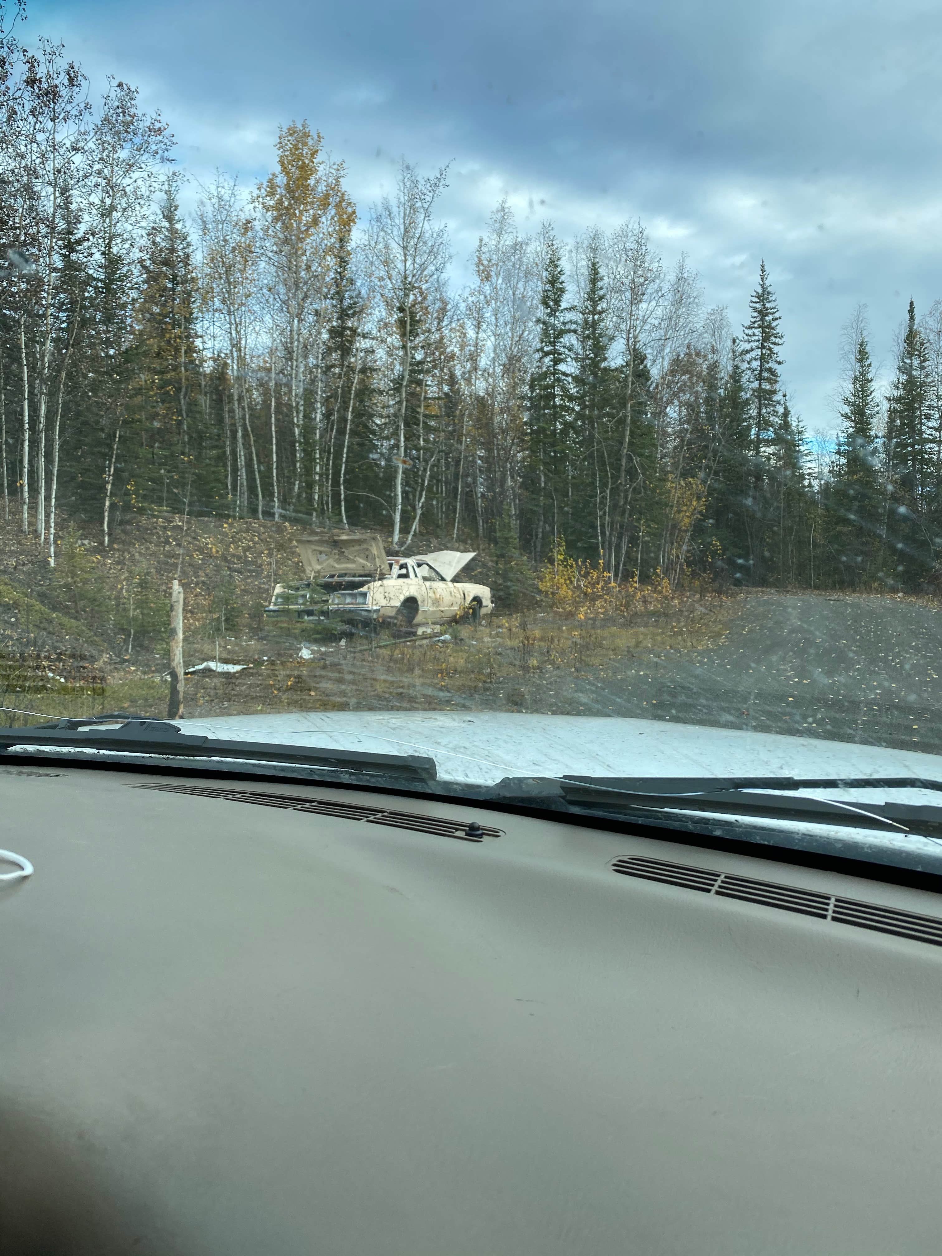 Camper submitted image from Ski Loop Trail - 5