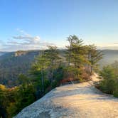 Review photo of Red River Gorge Adventures by Wayne H., October 26, 2020