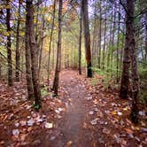 Review photo of Red River Gorge Adventures by Wayne H., October 26, 2020