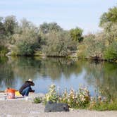 Review photo of Cottonwood CJ Strike Reservoir Idaho Power by Ed E., May 22, 2018