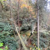 Review photo of Red River Gorge Adventures by Wayne H., October 26, 2020