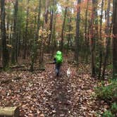 Review photo of Red River Gorge Adventures by Wayne H., October 26, 2020