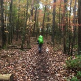 Review photo of Red River Gorge Adventures by Wayne H., October 26, 2020