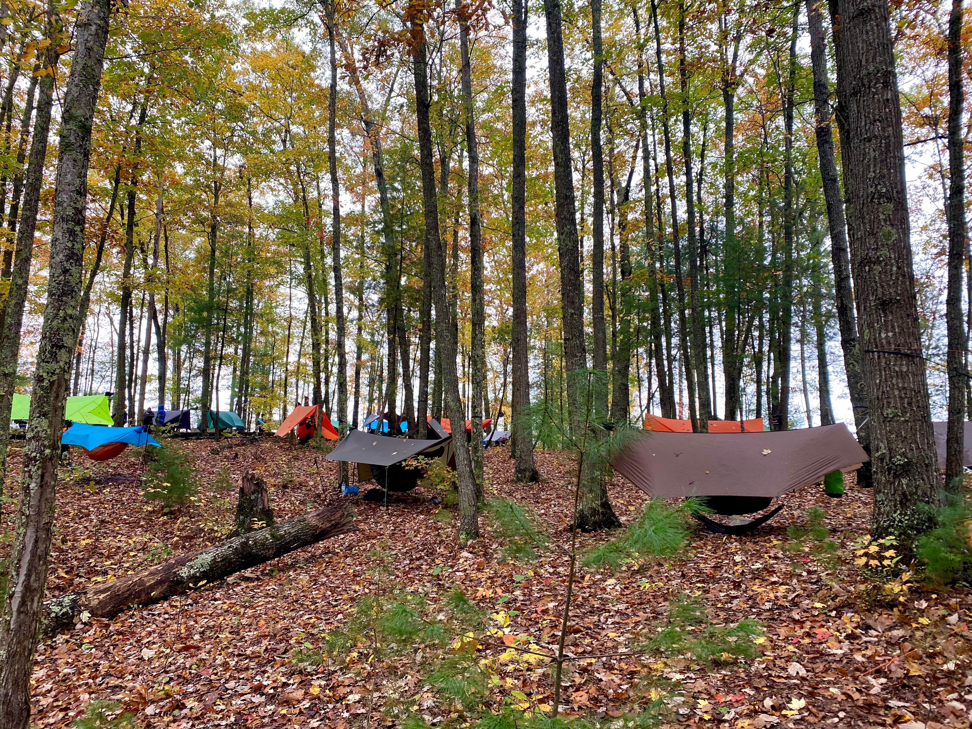 Wayne H.'s photo of tent camping at Red River Gorge Adventures near Buckhorn Lake