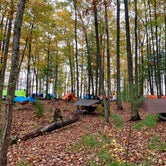 Review photo of Red River Gorge Adventures by Wayne H., October 26, 2020