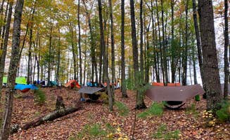 Wayne H.'s photo at Red River Gorge Adventures near Beattyville, KY