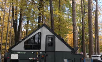 Shannon G.'s photo at Mt Gilead State Park Campground near Bucyrus, OH