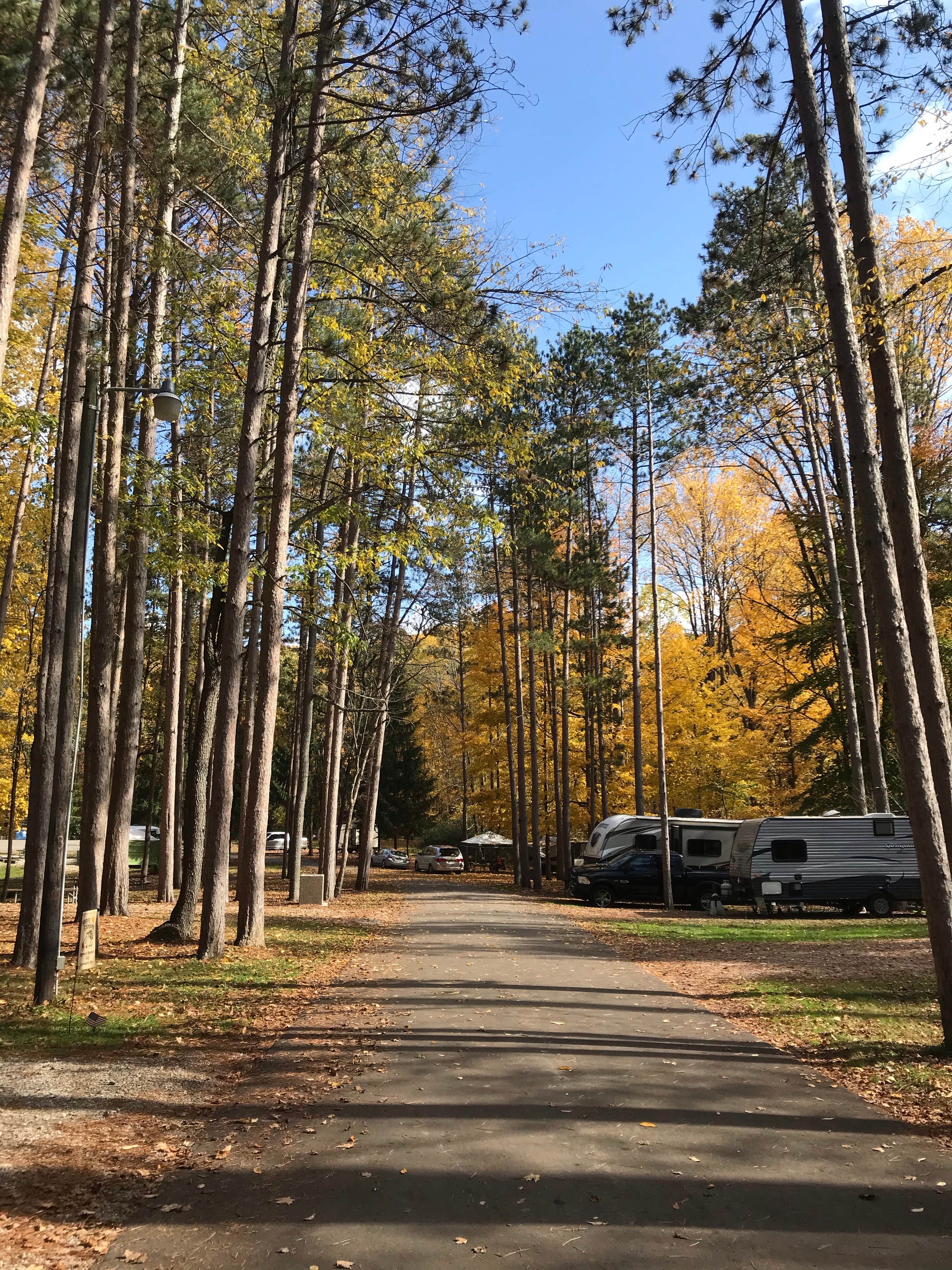 Shannon G.'s photo of rv camping at Mt Gilead State Park Campground near Radnor, OH