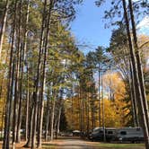 Review photo of Mt Gilead State Park Campground by Shannon G., October 26, 2020