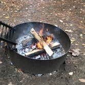 Review photo of Mt Gilead State Park Campground by Shannon G., October 26, 2020