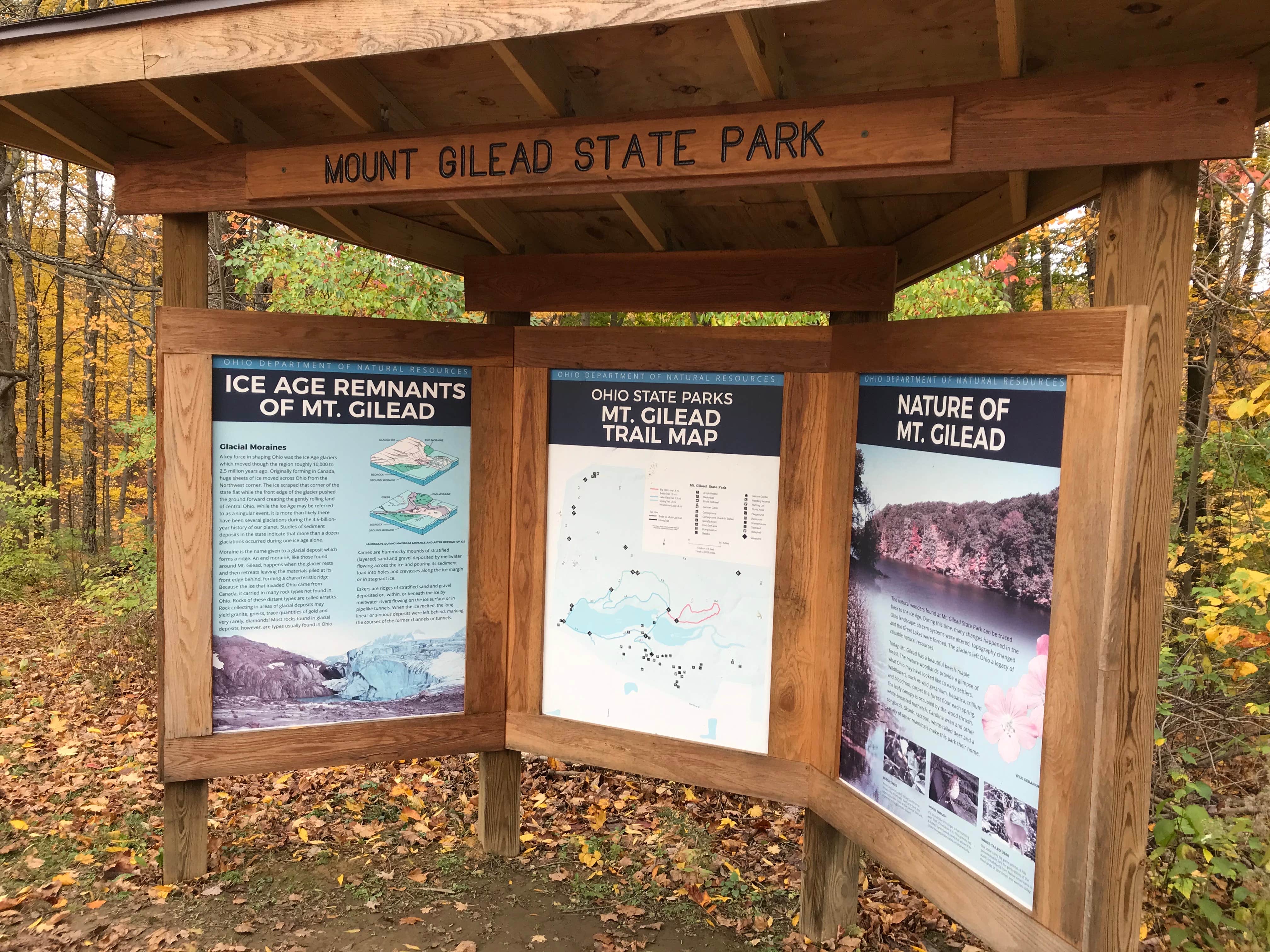 Mount Gilead State Park Camping | The Dyrt