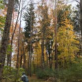 Review photo of Mt Gilead State Park Campground by Shannon G., October 26, 2020