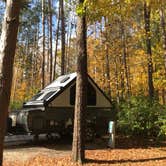 Review photo of Mt Gilead State Park Campground by Shannon G., October 26, 2020