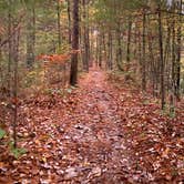 Review photo of Red River Gorge Adventures by Wayne H., October 26, 2020