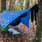 Review photo of Red River Gorge Adventures by Wayne H., October 26, 2020