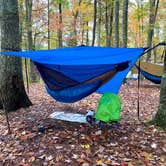 Review photo of Red River Gorge Adventures by Wayne H., October 26, 2020