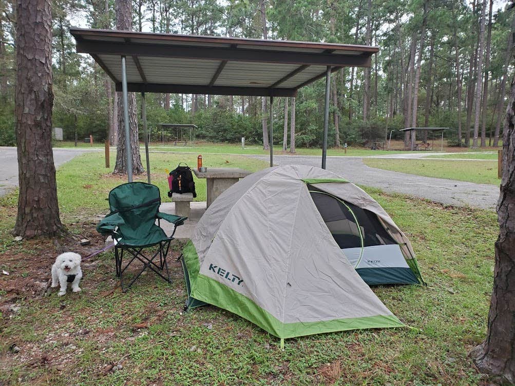 Anita C.'s photo of camping with pets at Twin Dikes near San Augustine, TX