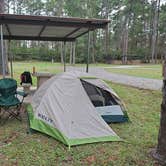 Review photo of COE Sam Rayburn Reservoir Twin Dikes Park by Anita C., October 26, 2020