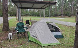 Anita C.'s photo of camping with pets at Twin Dikes near Big Thicket National Preserve