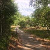 Review photo of Paynes Prairie Preserve State Park Campground by Issa F., October 26, 2020