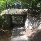 Review photo of Paynes Prairie Preserve State Park Campground by Issa F., October 26, 2020