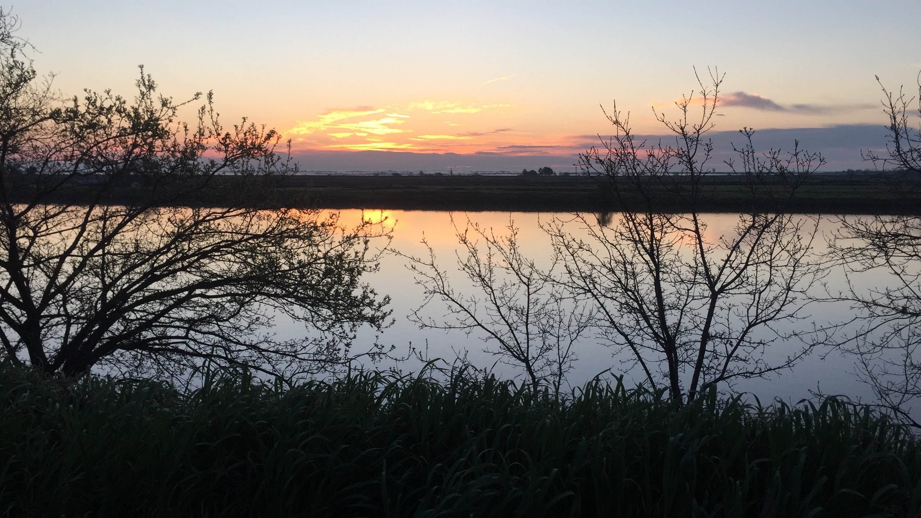 Camper-submitted photo at Brannan Island State Recreation Area near Pittsburg, CA