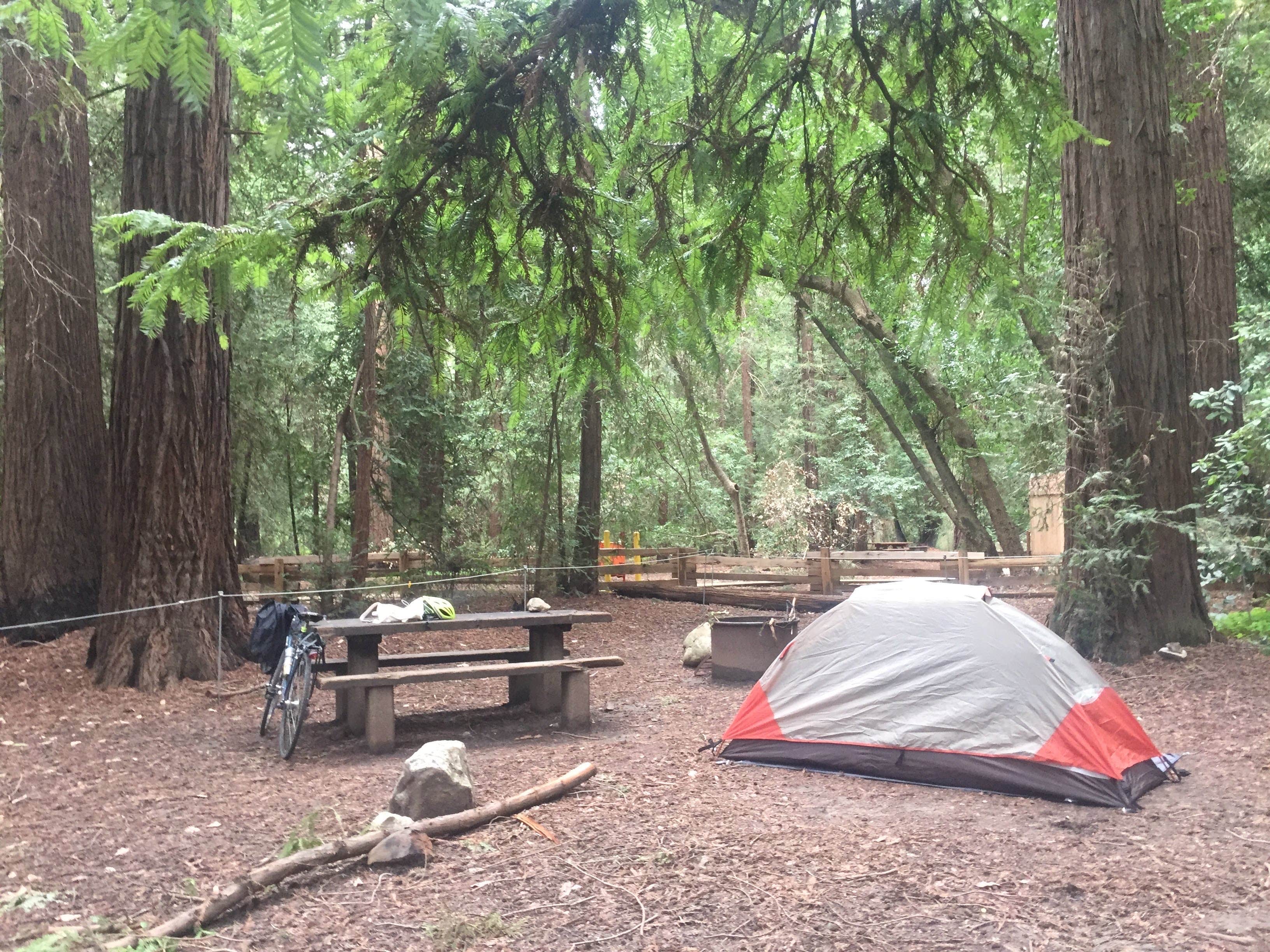 Issa F.'s photo of tent camping at Pfeiffer Big Sur State Park Campground near Freedom, CA