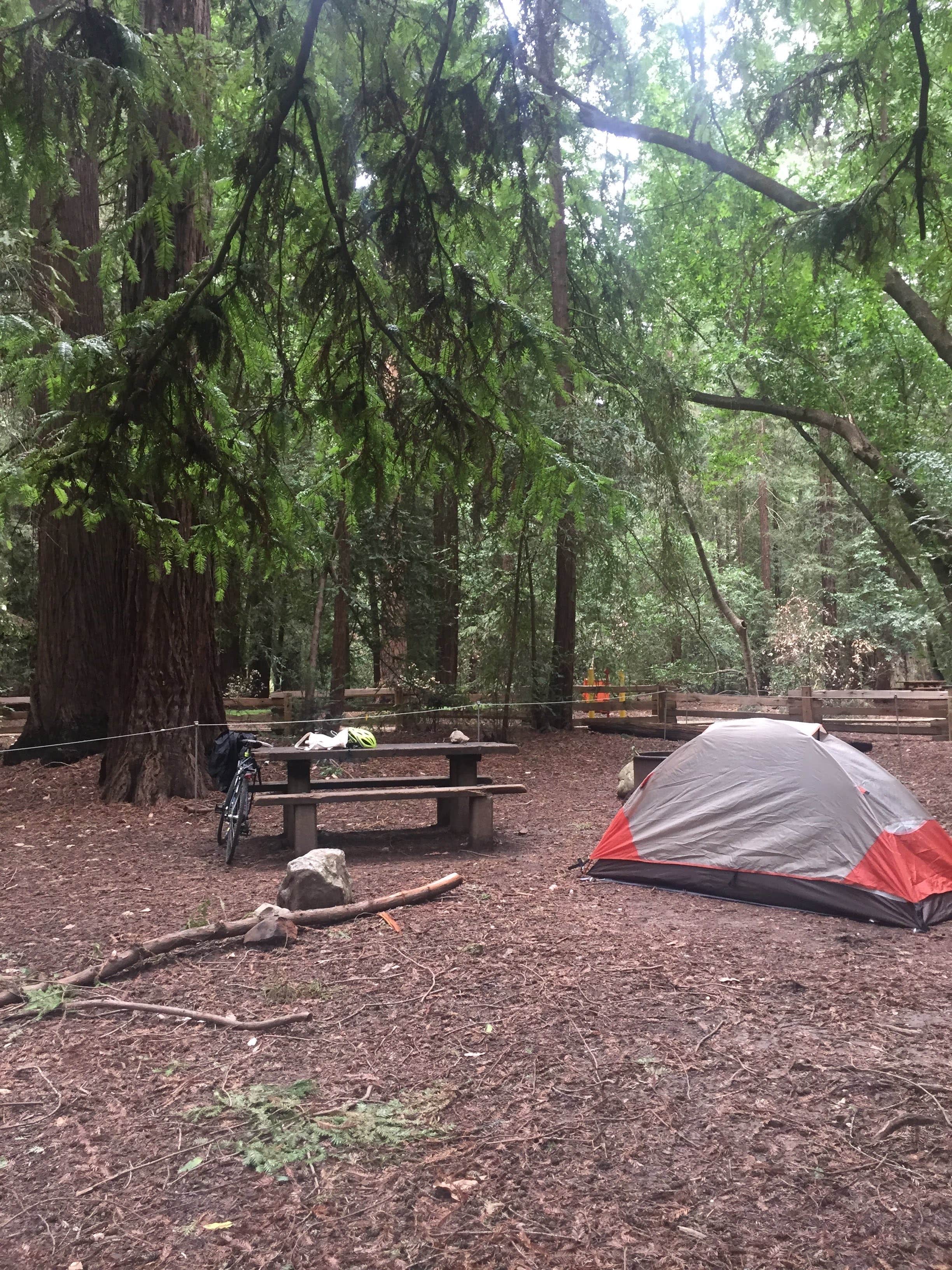 Issa F.'s photo of tent camping at Pfeiffer Big Sur State Park Campground near Carmel-by-the-Sea, CA