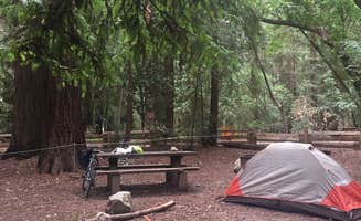 Issa F.'s photo of tent camping at Pfeiffer Big Sur State Park Campground near Pinnacles National Park