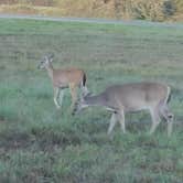 Review photo of Yegua Creek Campground by Anita C., October 26, 2020