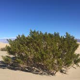 Review photo of Sunset Campground — Death Valley National Park by Issa F., October 26, 2020