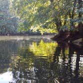 Review photo of Finger Lakes State Park Campground by Curtis M., May 22, 2018