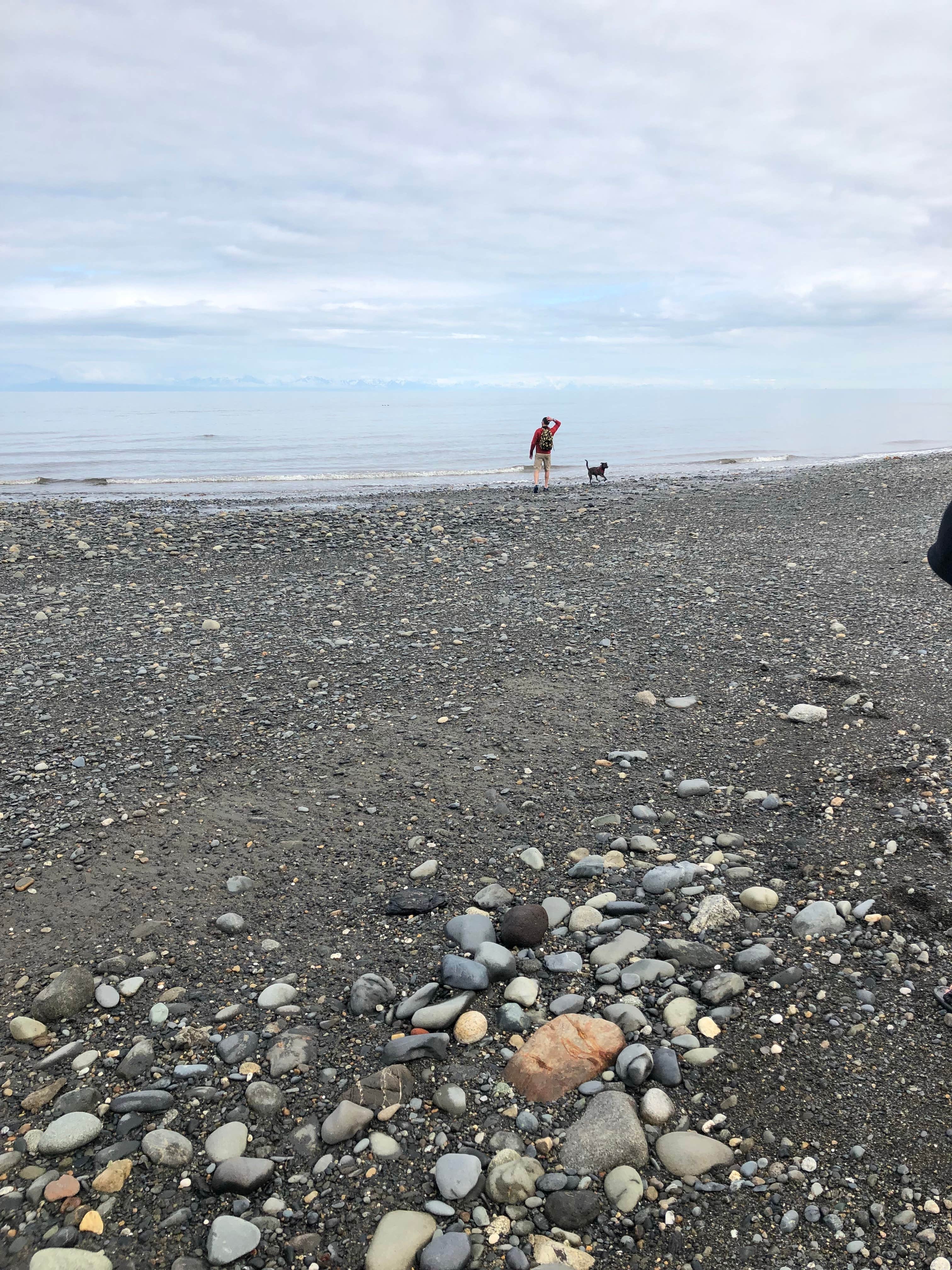 Camper-submitted photo at Anchor River State Recreation Area near Homer, AK