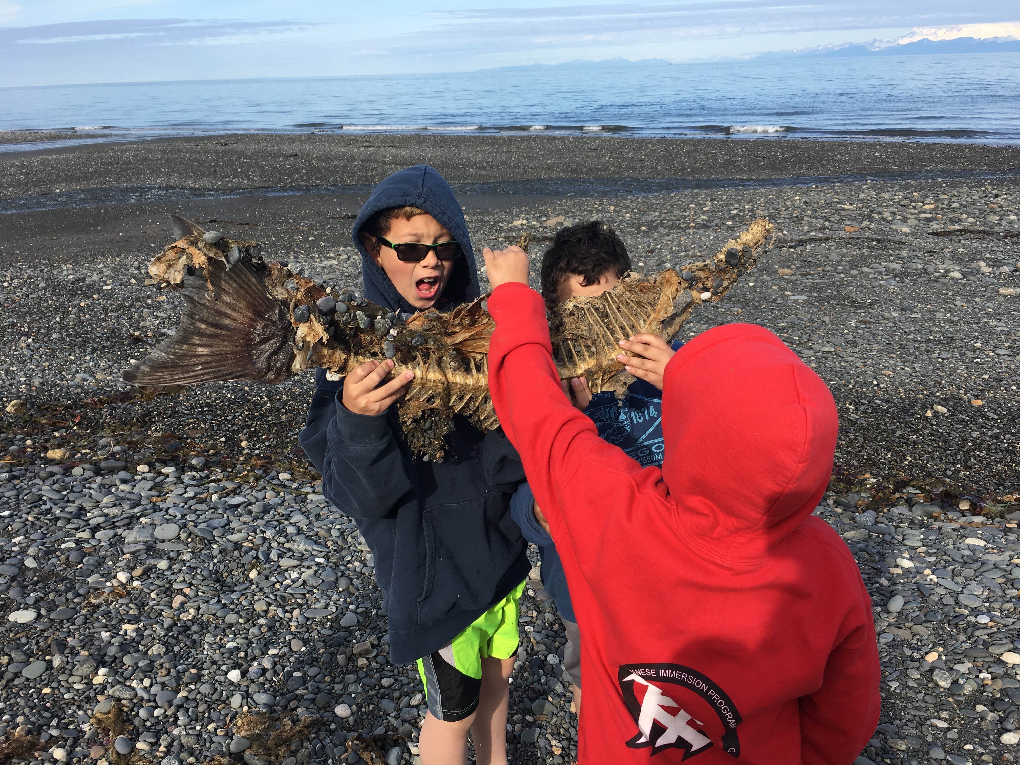Camper-submitted photo at Anchor River State Recreation Area near Homer, AK