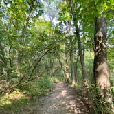 Review photo of Rock Cut State Park - Staghorn Campground by Kristy G., October 26, 2020
