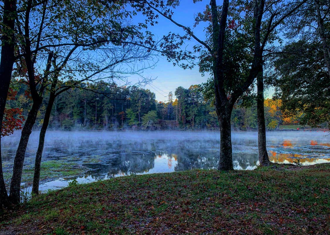 Camper submitted image from Stephens Park Campground - 3