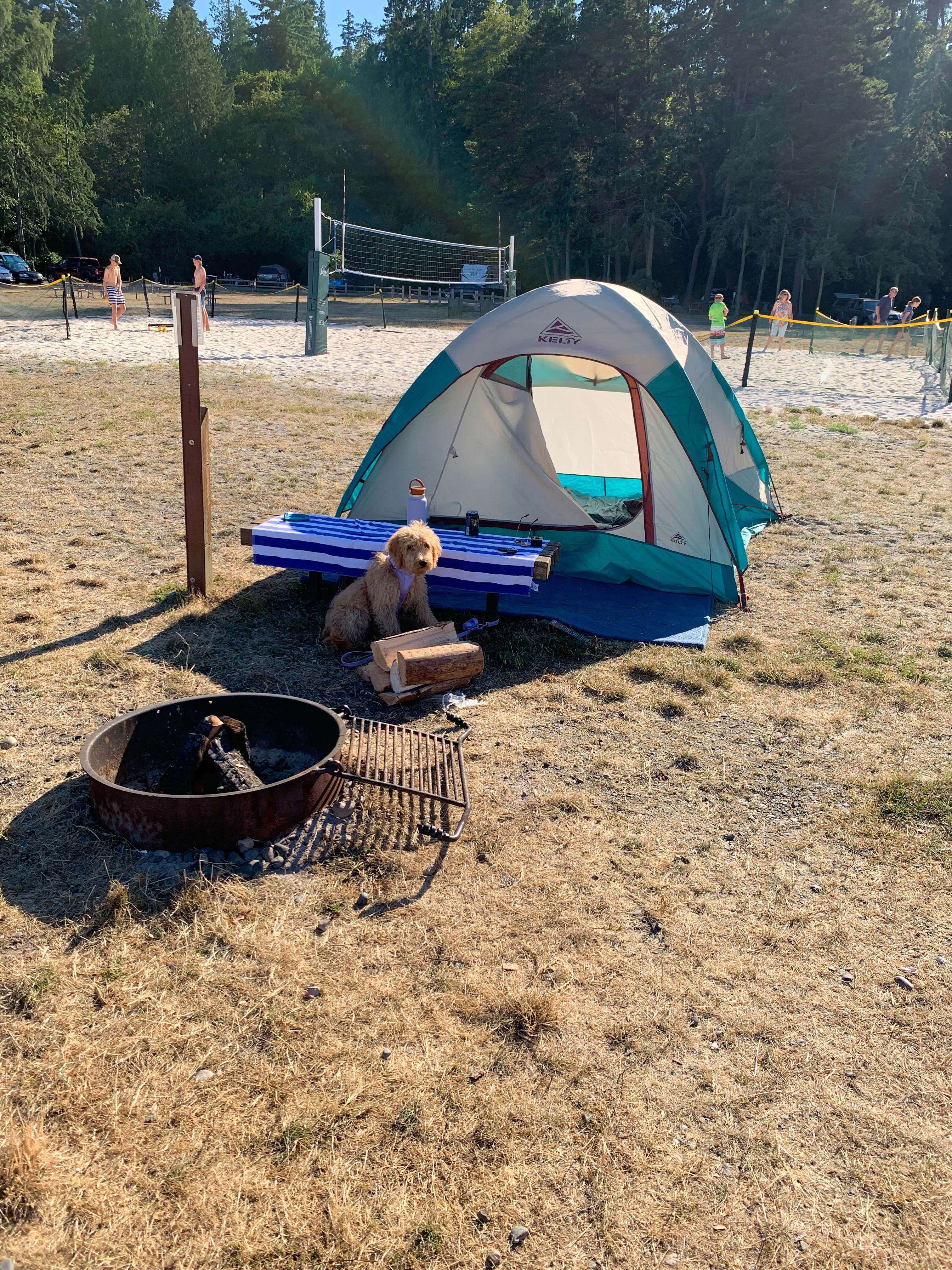 Taylor M.'s photo at Fay Bainbridge Park near Port Ludlow, WA