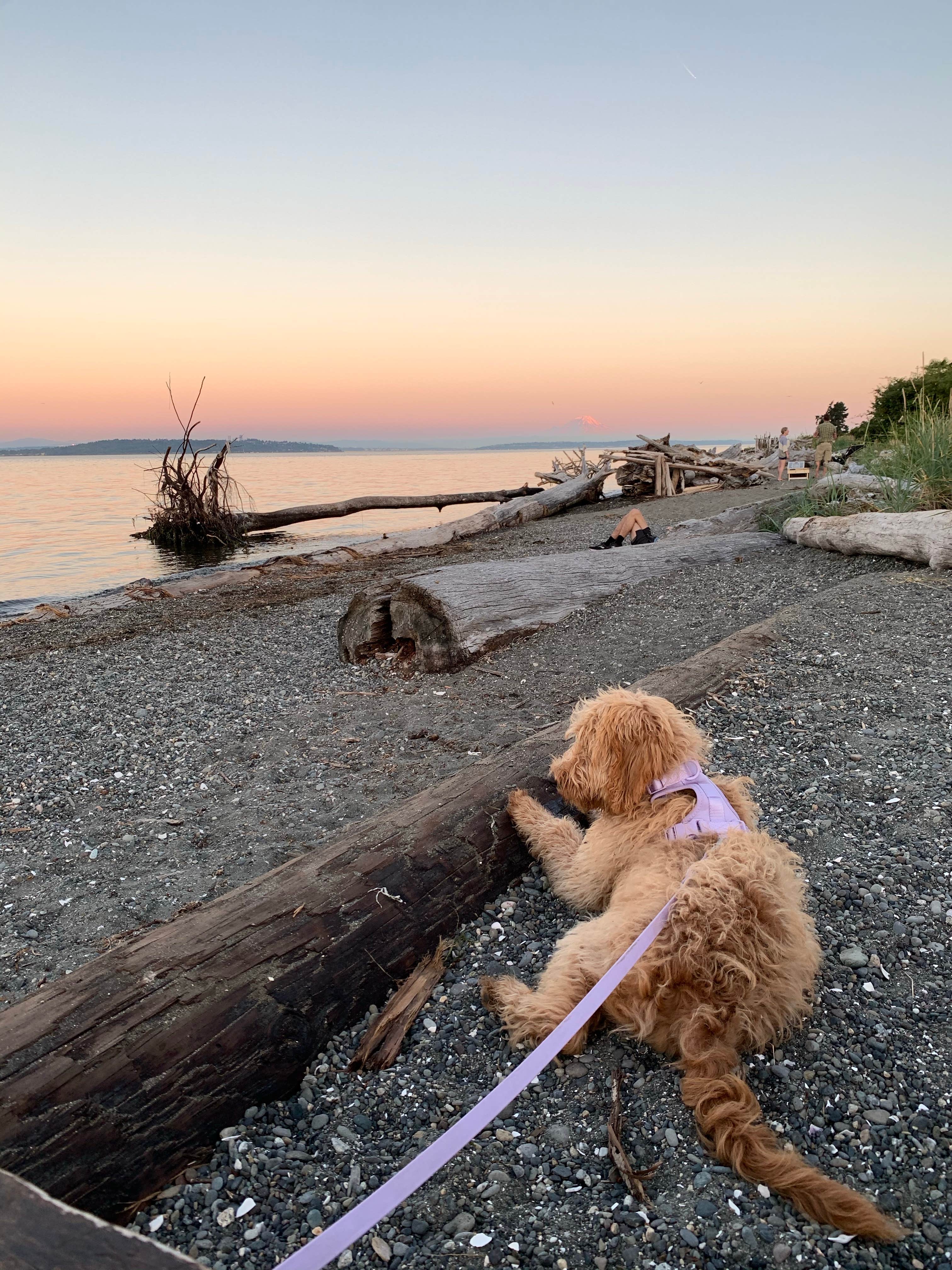 Camper-submitted photo at Fay Bainbridge Park near Port Ludlow, WA