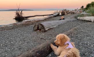 Taylor M.'s photo of camping with pets at Fay Bainbridge Park near Redmond, WA