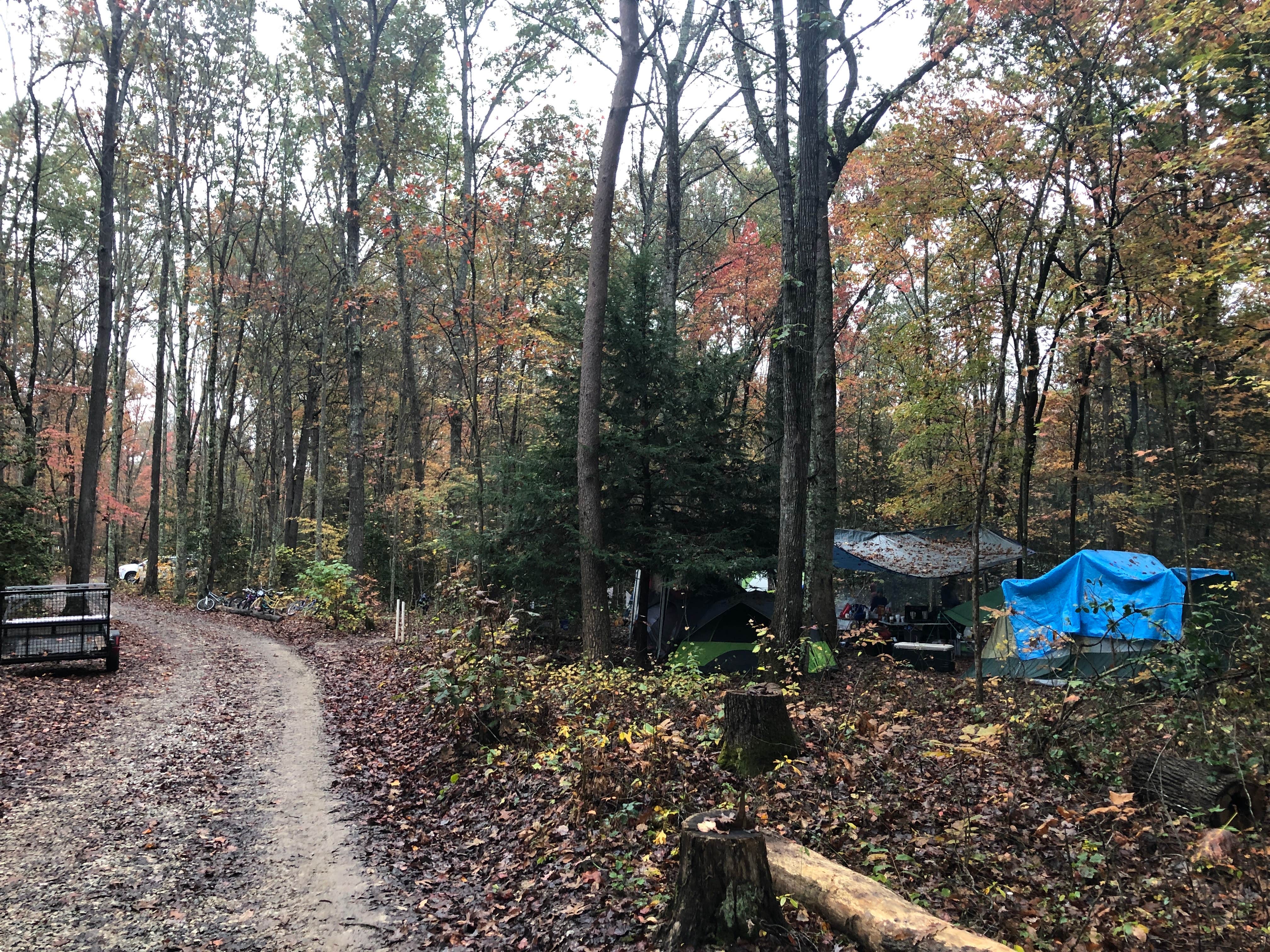 Joshua L.'s photo at Falls Creek Cabins & Campground near Stearns, KY