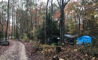 Joshua L.'s photo at Falls Creek Cabins & Campground near Laurel River Lake